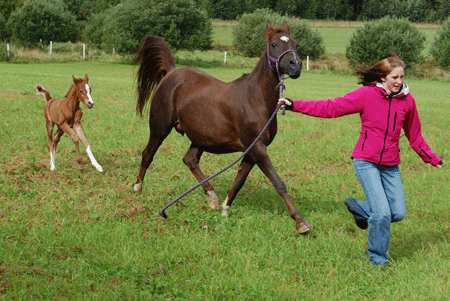 Caira and Chili Flame