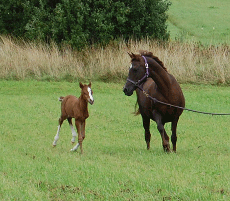 Caira and Chili Flame