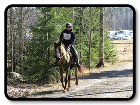 Dijanah 2011-04-17 Lovisedal