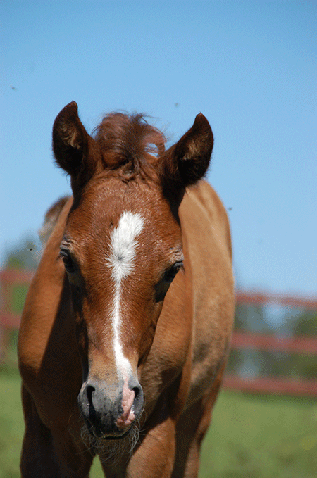 GKV Pounds of Fun and Indian Priyah 2021-05-15. 