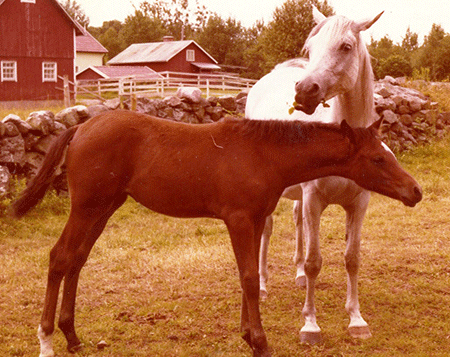 Kiara bint Karita and her mother Karita