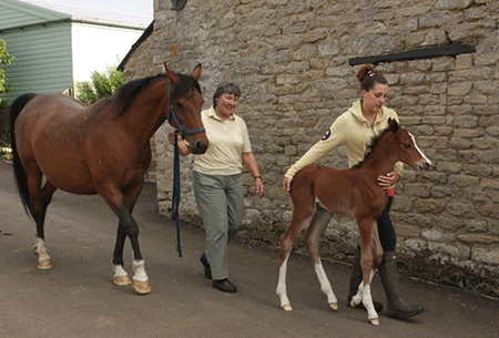 Dandini 2 days old