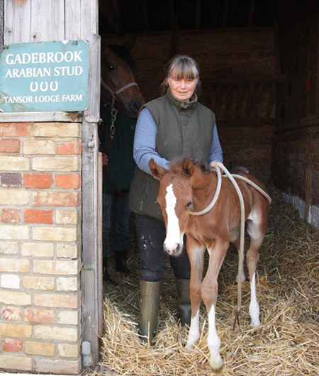 Dandini first steps